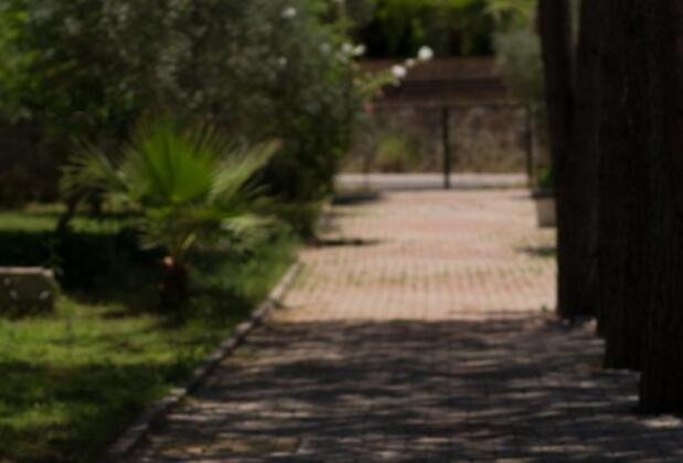 Petit Garden Hotel - Görsel 5