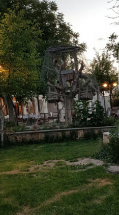 Green Hotel - Görsel 9