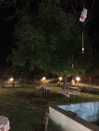 Green Hotel - Görsel 10