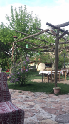 Green Hotel - Görsel 4