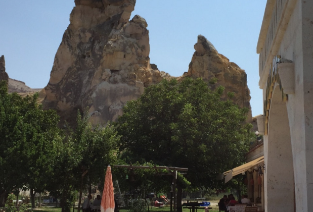 Green Hotel - Görsel 11