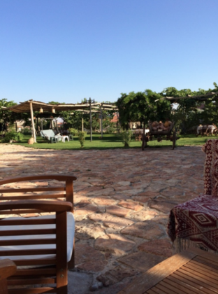 Green Hotel - Görsel 17