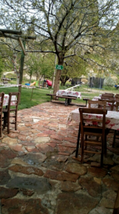 Green Hotel - Görsel 18