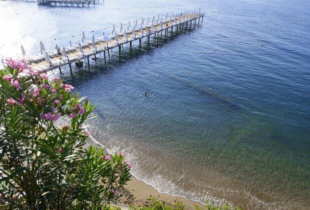 Q Aventura Park Hotel - Görsel 2