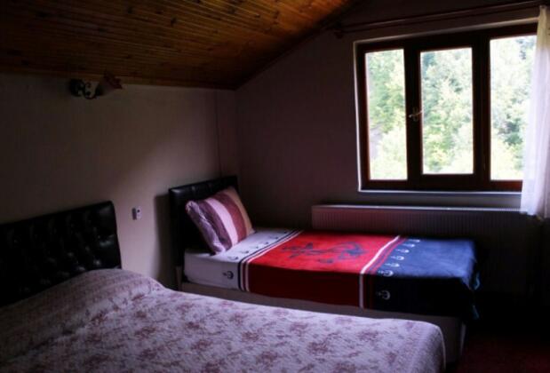 Abant Zümrüt Dağ Evi - Görsel 13