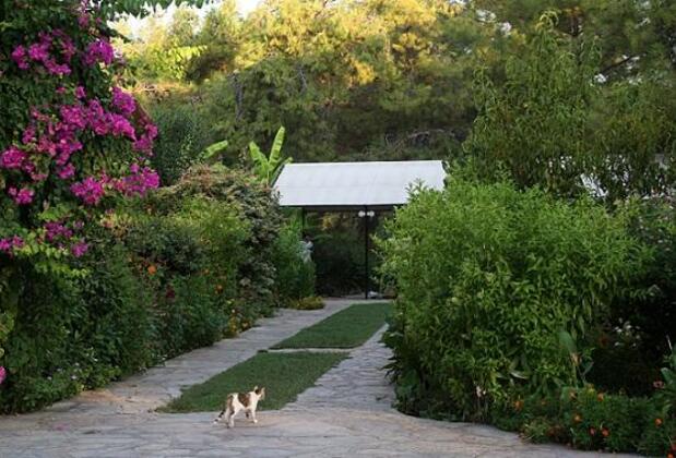 Dreamland Otel - Görsel 4