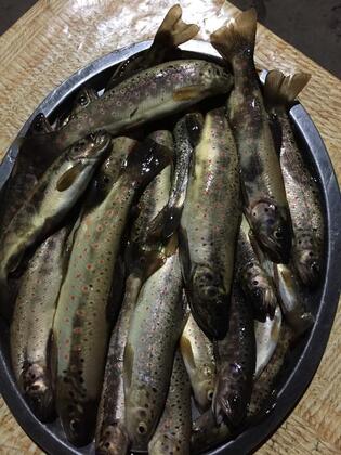 Cansızoğlu Anzer Otel - Görsel 9