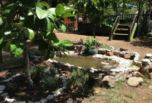 Çıralı Dünya Bungalow - Görsel 10