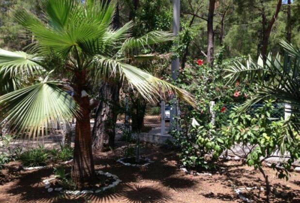 Çıralı Dünya Bungalow - Görsel 4