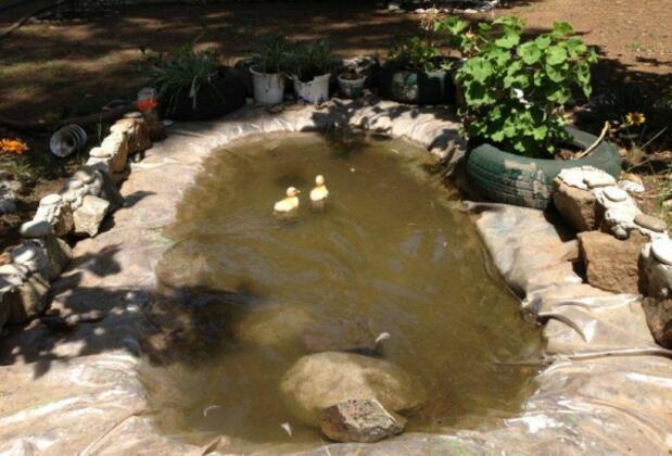 Çıralı Dünya Bungalow - Görsel 17