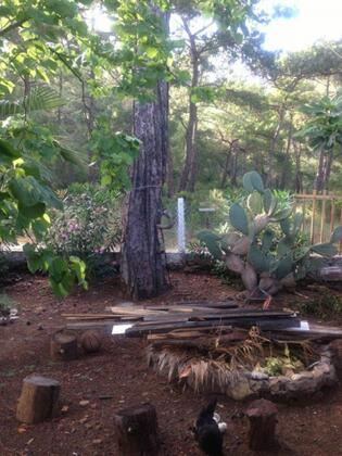 Çıralı Dünya Bungalow - Görsel 14