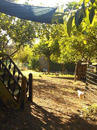 Çıralı Dünya Bungalow - Görsel 7