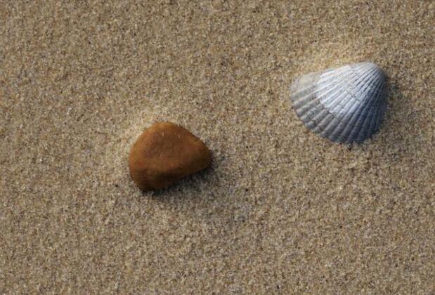 Sultan Beach Hotel - Görsel 36