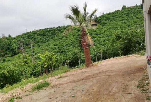 Villa İrem & Zeynep - Görsel 17