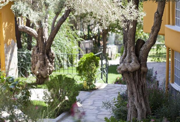 Köyüm Konak - Görsel 13