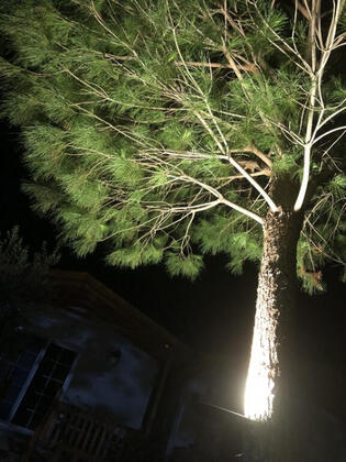 Adrasan Limon Apart - Görsel 7