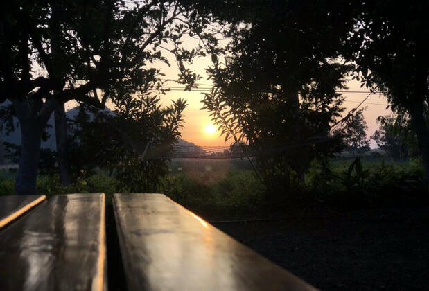 Adrasan Limon Apart - Görsel 4