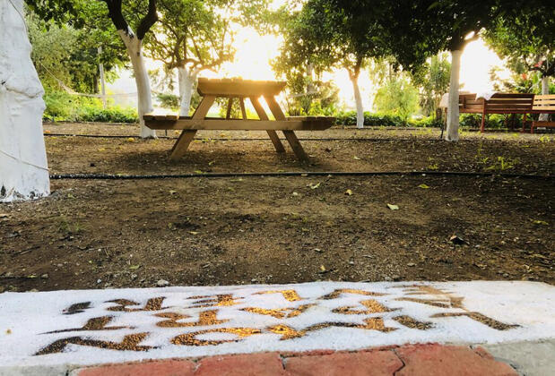 Adrasan Limon Apart - Görsel 6