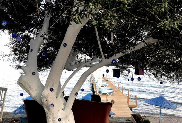 Ayşenin Mutfağı Assos - Görsel 6