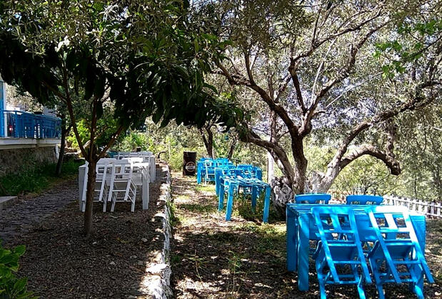 Bademli Oteli - Görsel 7