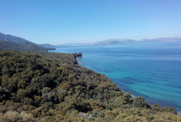 Art Beach Hotel - Görsel 3