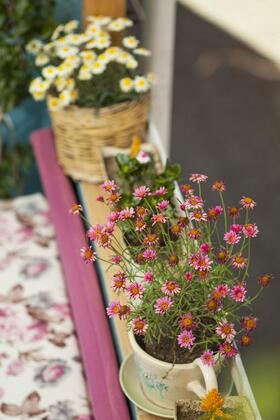 Boutique Ayvalık Pansiyon - Görsel 10