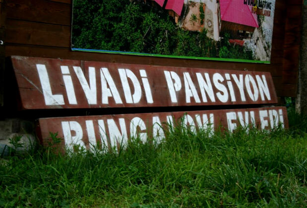 Livadi Bungalow Hotel - Görsel 4