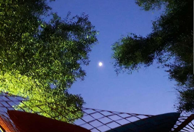 Assos Duru Beach Bungalow Camping - Görsel 20