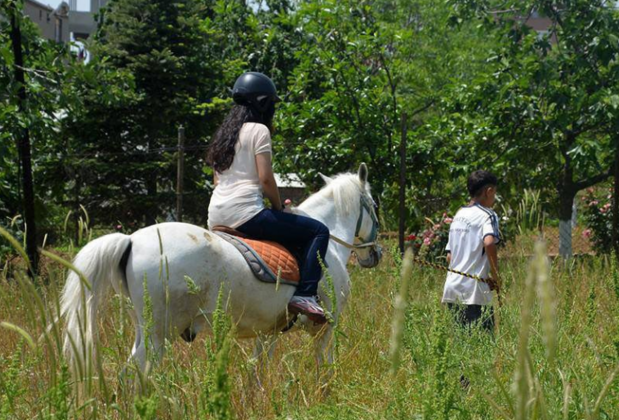 Atlıtur - Görsel 6