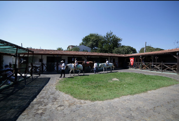 Atlıtur - Görsel 15