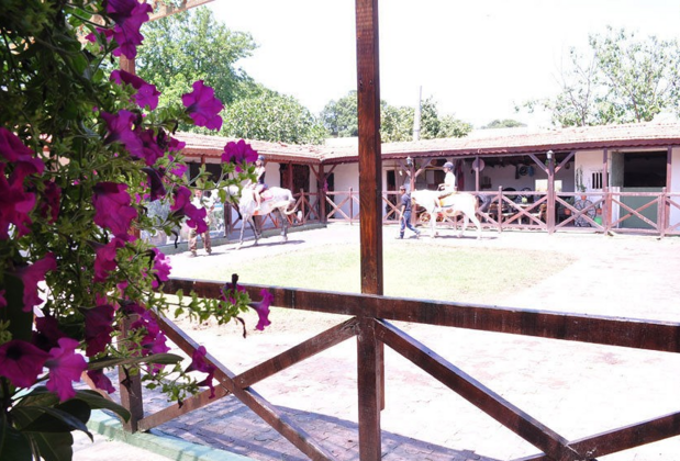 Atlıtur - Görsel 5