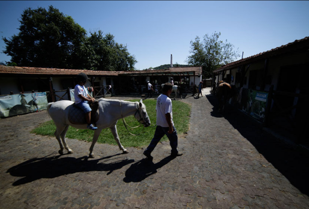 Atlıtur - Görsel 4