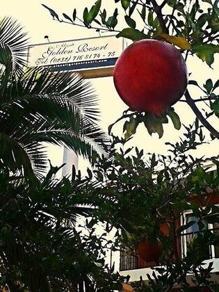 Alaçatı Golden Resort - Görsel 29