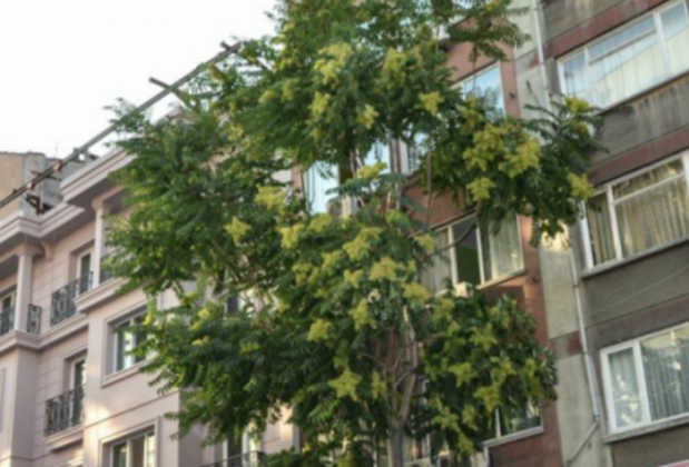 Hotel Life - Görsel 12