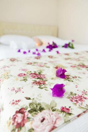 Söğüt Ada Pansiyon - Görsel 9