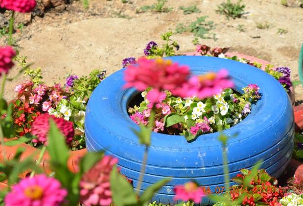 Söğüt Ada Pansiyon - Görsel 20