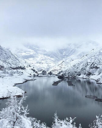 Doğa Bungalov Tatil Köyü - Görsel 6