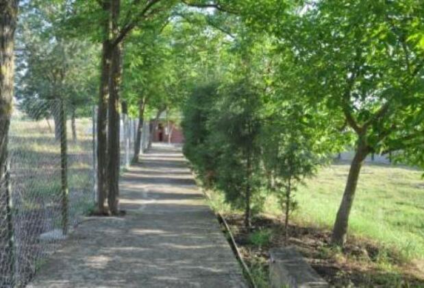 Şifa Termal Otel ve Çamur Kaplıcaları - Görsel 10