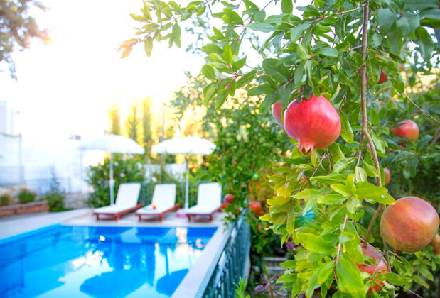 Villa Bağ Evi - Görsel 24