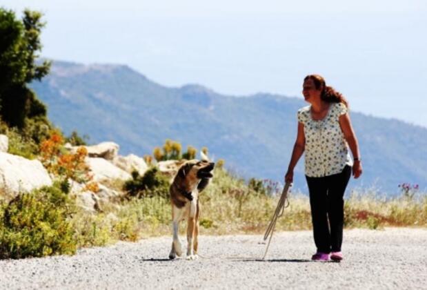 Alamut Alinca Konukevi - Görsel 23