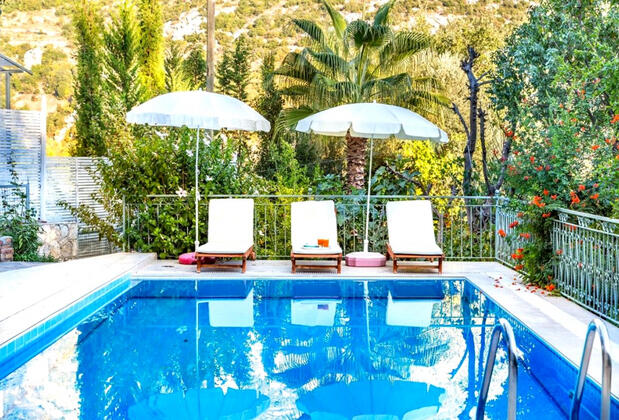 Villa Bağ Evi - Görsel 27