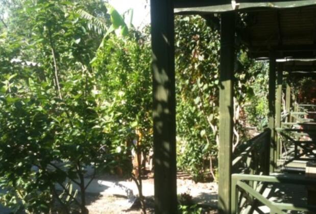 Kaptan Ali Bungalow Hotel - Görsel 10