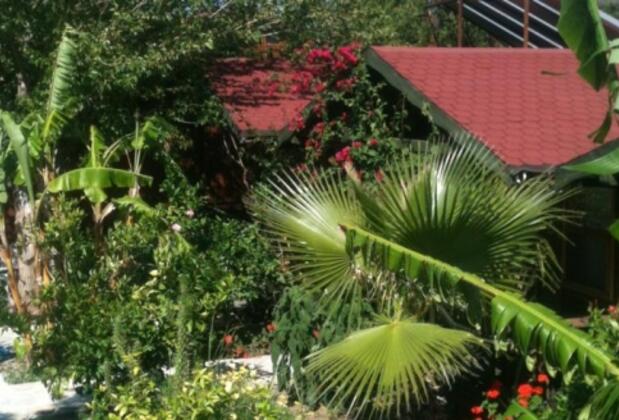 Kaptan Ali Bungalow Hotel - Görsel 9