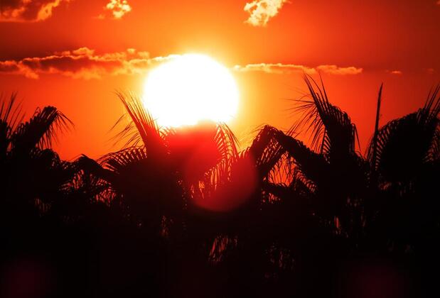 Çıralı Irmak Hotel - Görsel 13