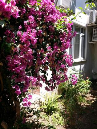 Çıralı Irmak Hotel - Görsel 42