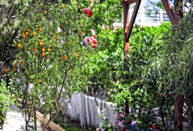 Cüneydi Pansiyon - Görsel 13