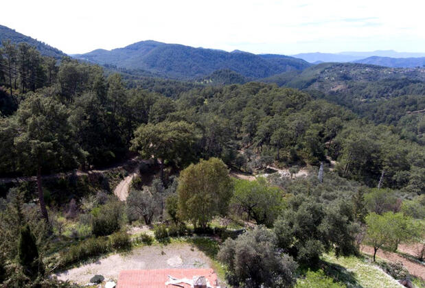 Vadideki Ev - Görsel 10