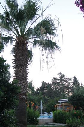 Ant Otel Bodrum - Görsel 12