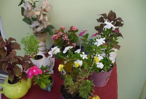 Egehan Hotel - Görsel 36