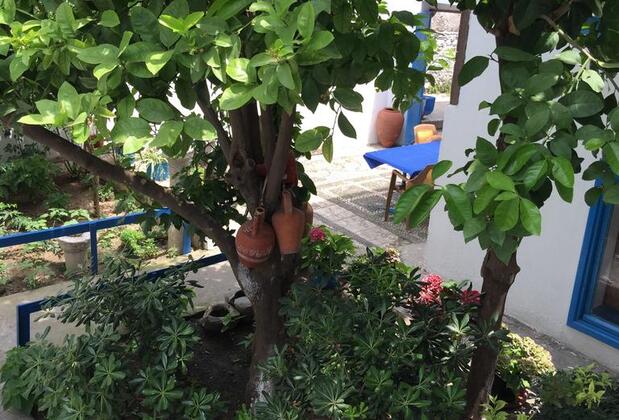 Fındık Pansiyon - Görsel 7